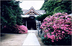 �Ⓦ�R�R�ω���ꏄ��E�Ⓦ�R�R�ω���ꏄ��o�X�c�A�[�\��